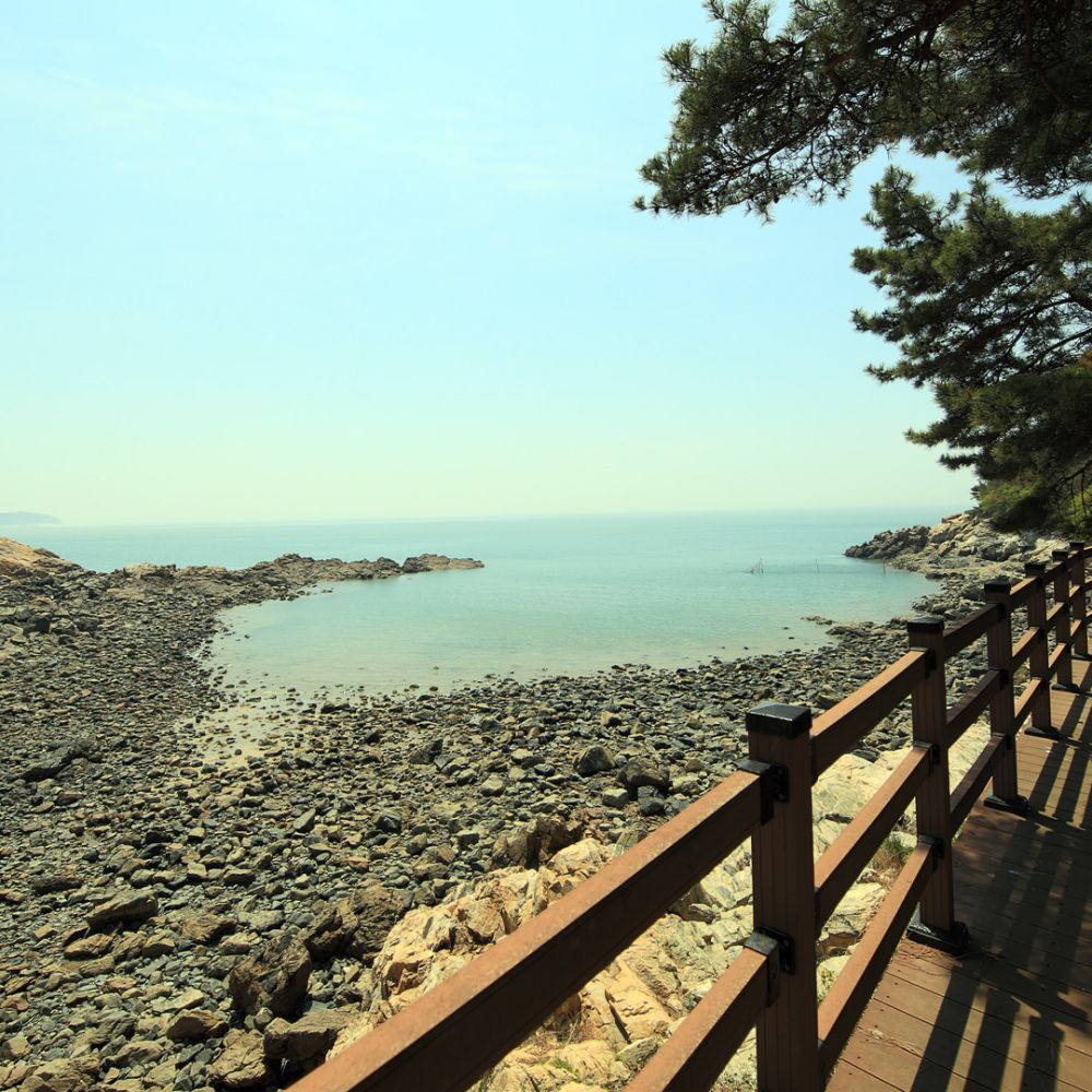 주변전경